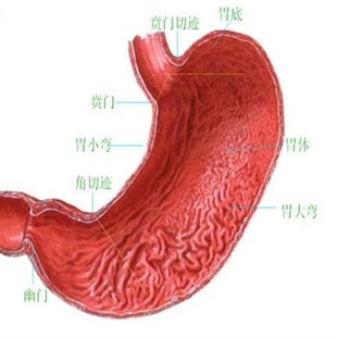 θ