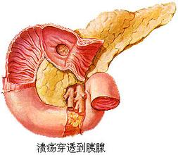 ʮָ