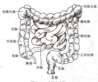 Գʳ